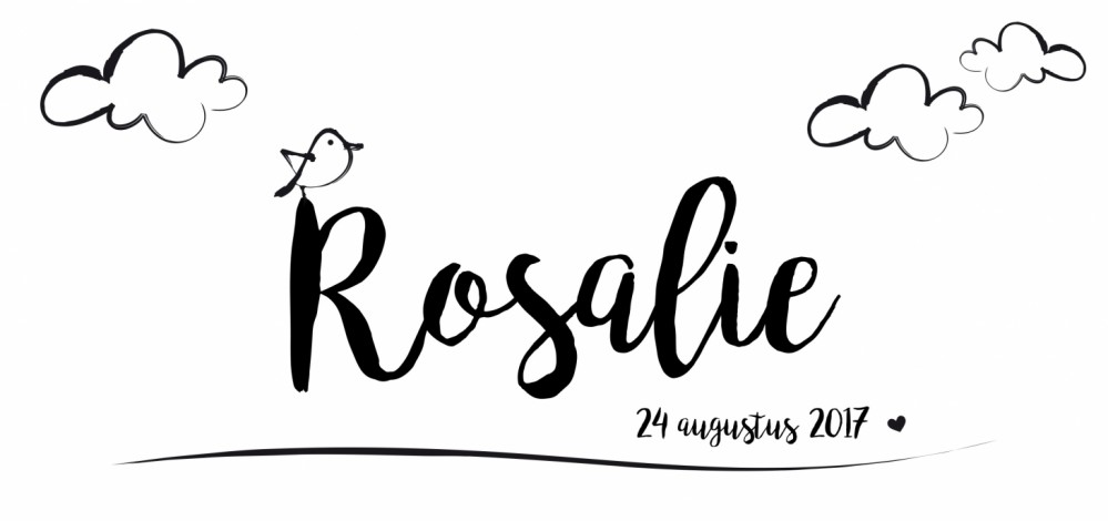 Geboortekaartje wolkjes - Rosalie