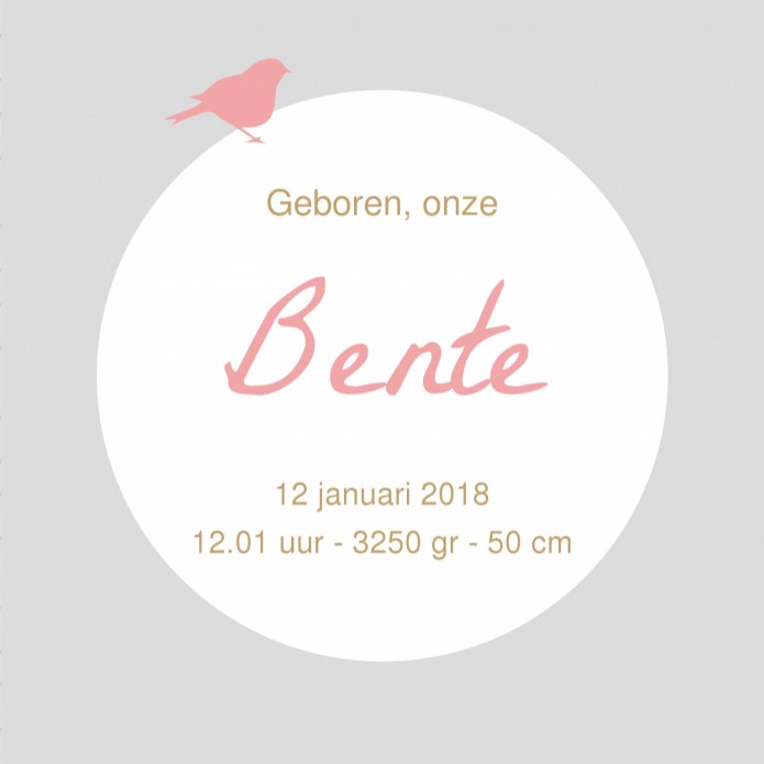 kaart binnenzijde rechts