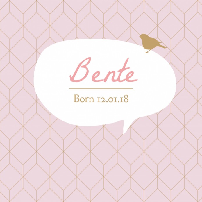 Hip geboortekaartje - Bente