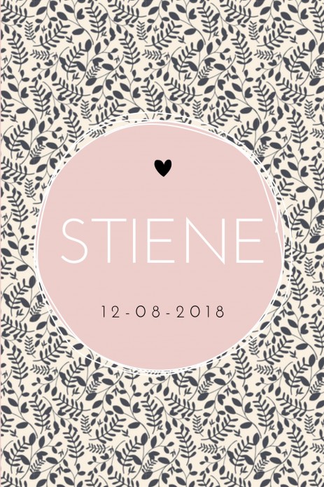 Hip geboortekaartje - Stiene - DIY