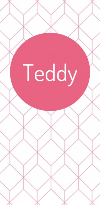 Hip geboortekaartje - Teddy