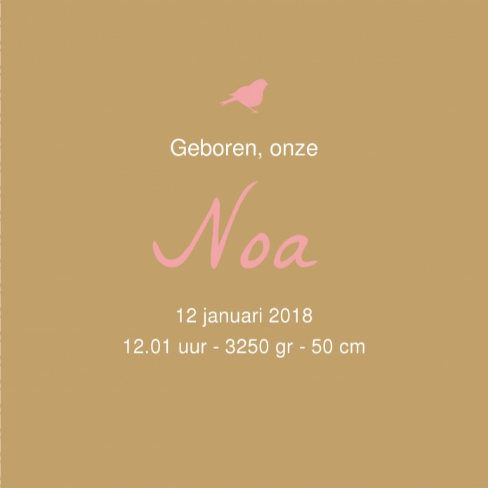 kaart binnenzijde rechts