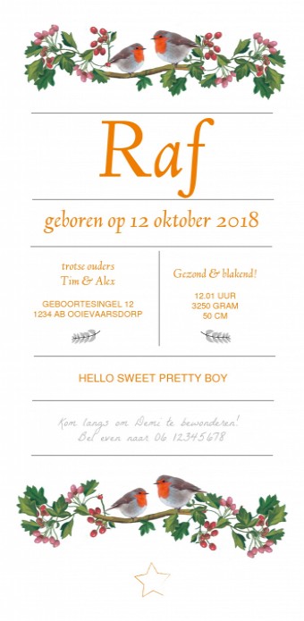 Lief geboortekaartje - Raaf