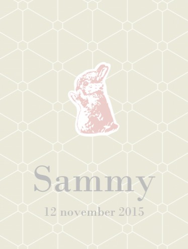 Geboorteposter Geo Sammy