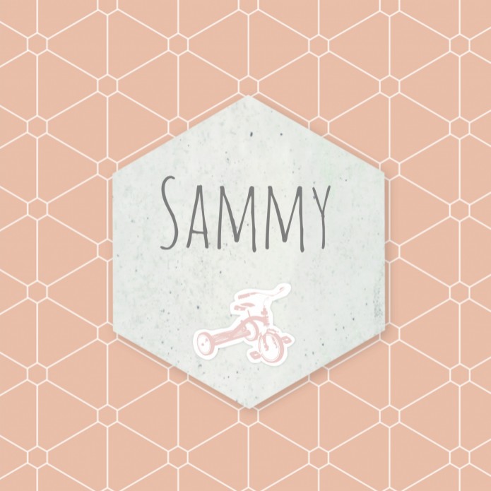 Stoer geboortekaartje - Sammy