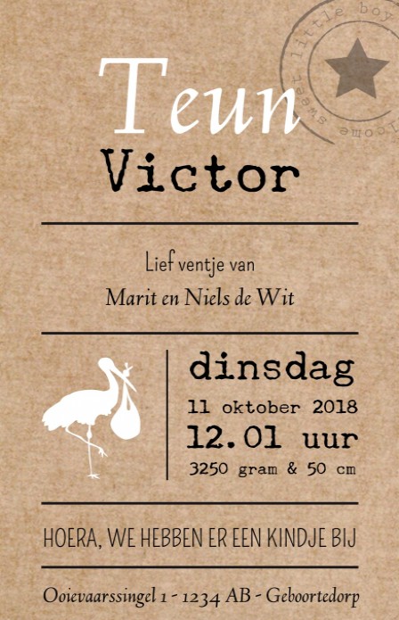 Stoer geboortekaartje - Teun