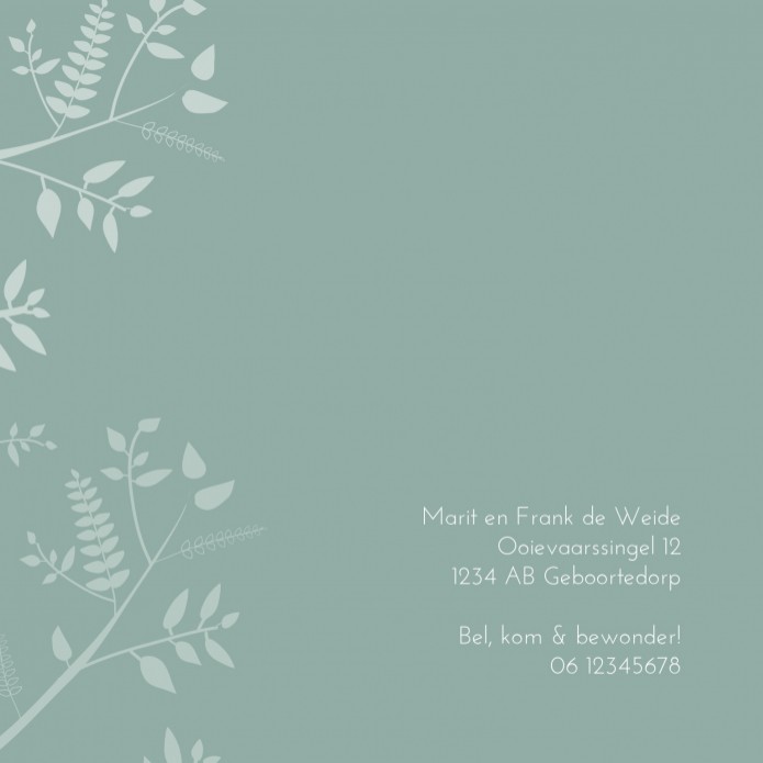 kaart binnenzijde links