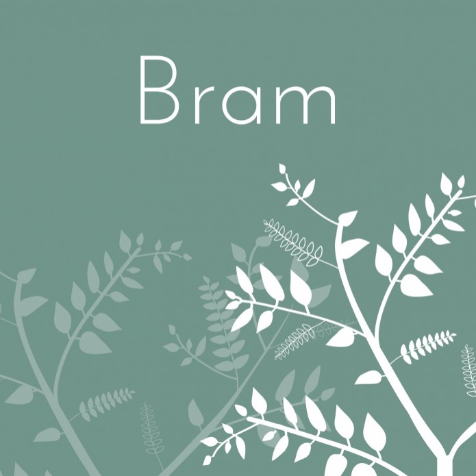 Strak geboortekaartje - Bram