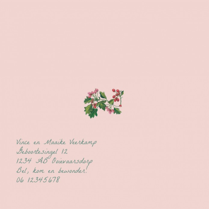 kaart binnenzijde links