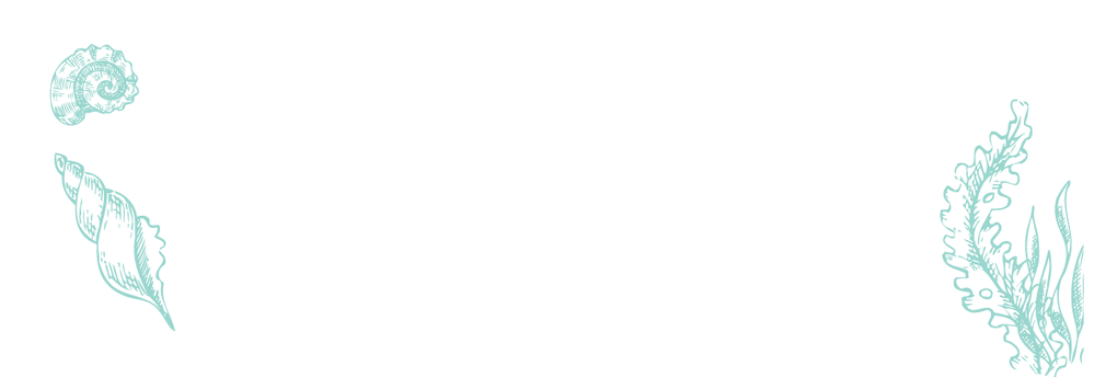 Vel 16 adresetiketten - tropisch